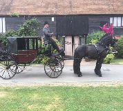 Horse and Carriage Hire in Dunoon
